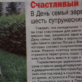 News
